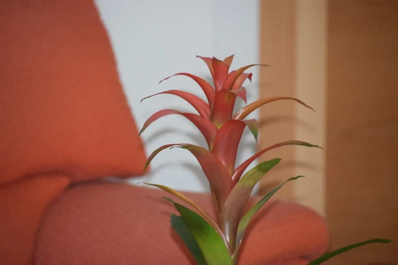 Guest house Hostal Manuela Punta Umbria